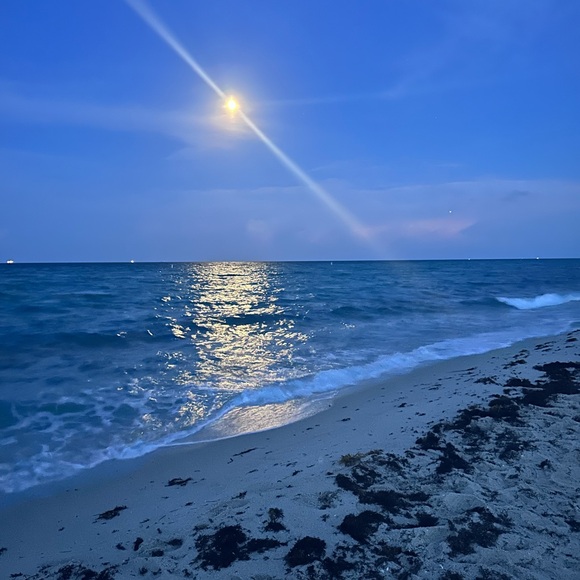 Meet your Posher, Liz - Picture 2 of 2